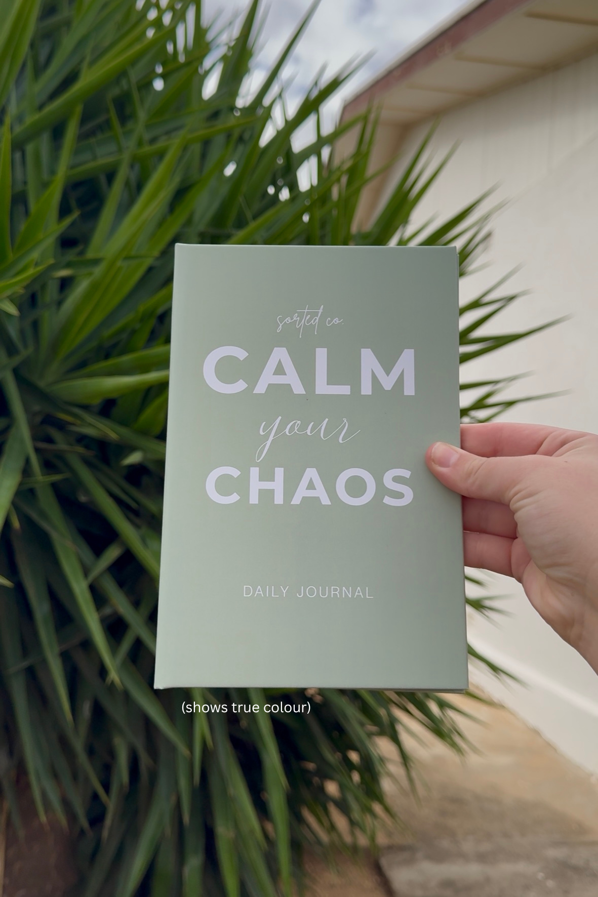 MATCHA - Calm Your Chaos Gratitude Journal